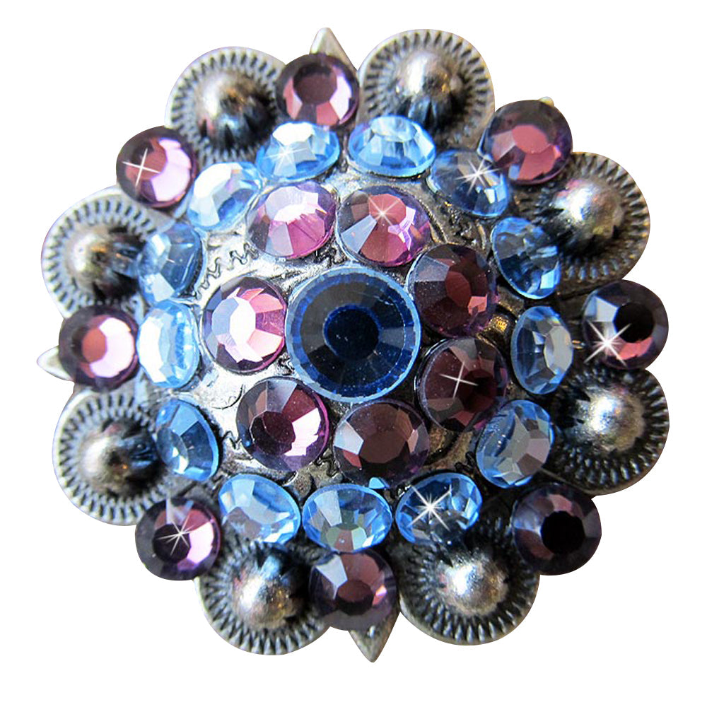 Western Screw Back Concho Amethyst Sapphire Crystal Headstall Cowgirl