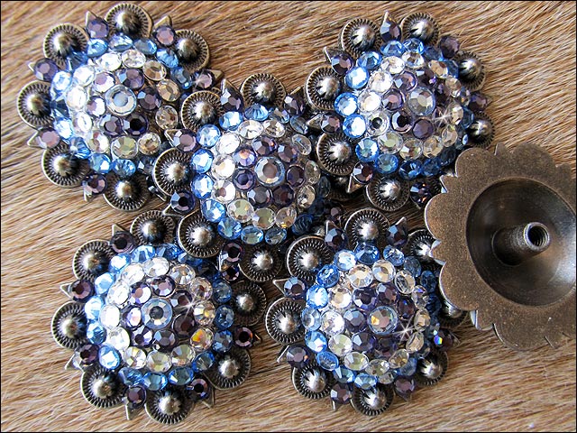Western Screw Back Concho Iris Sapphire Berry Crystal Headstall Cowgirl