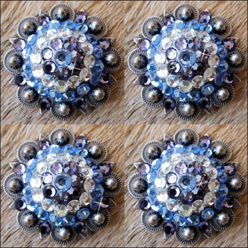 Western Screw Back Concho Iris Sapphire Berry Crystal Headstall Cowgirl