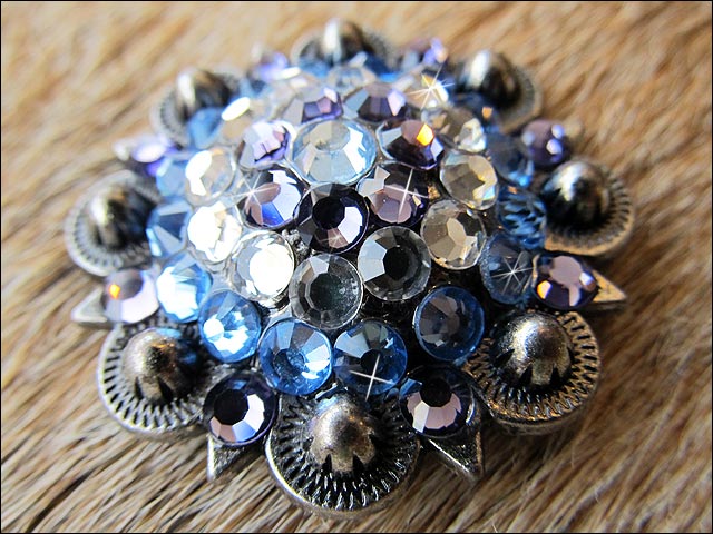 Western Screw Back Concho Iris Sapphire Berry Crystal Headstall Cowgirl