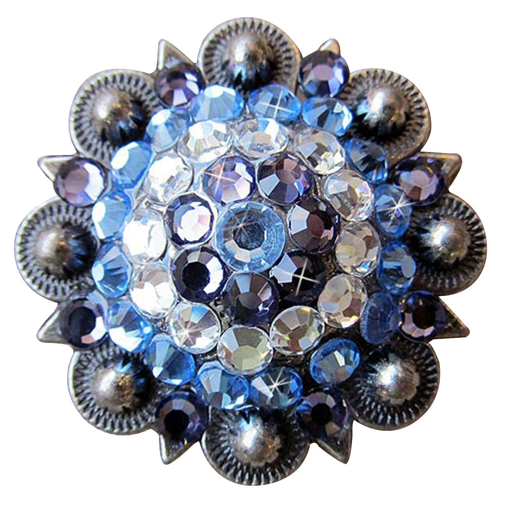 Western Screw Back Concho Iris Sapphire Berry Crystal Headstall Cowgirl