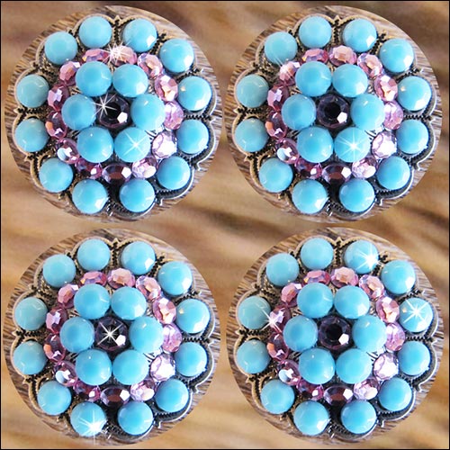 Western Screw Back Concho Turquoise Crystal Berry Horse Saddle Tack Belt