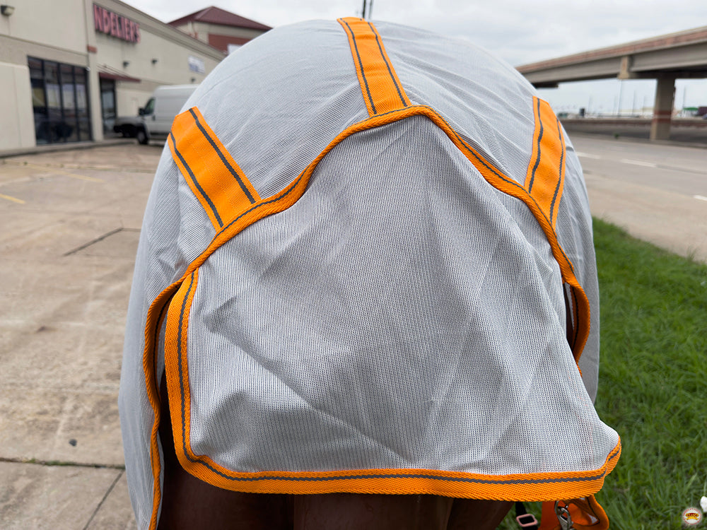 HILASON Horse Fly Sheet - Summer Spring UV Protection Mesh Bug Mosquito FlySheet for Horses | Fly-Sheet