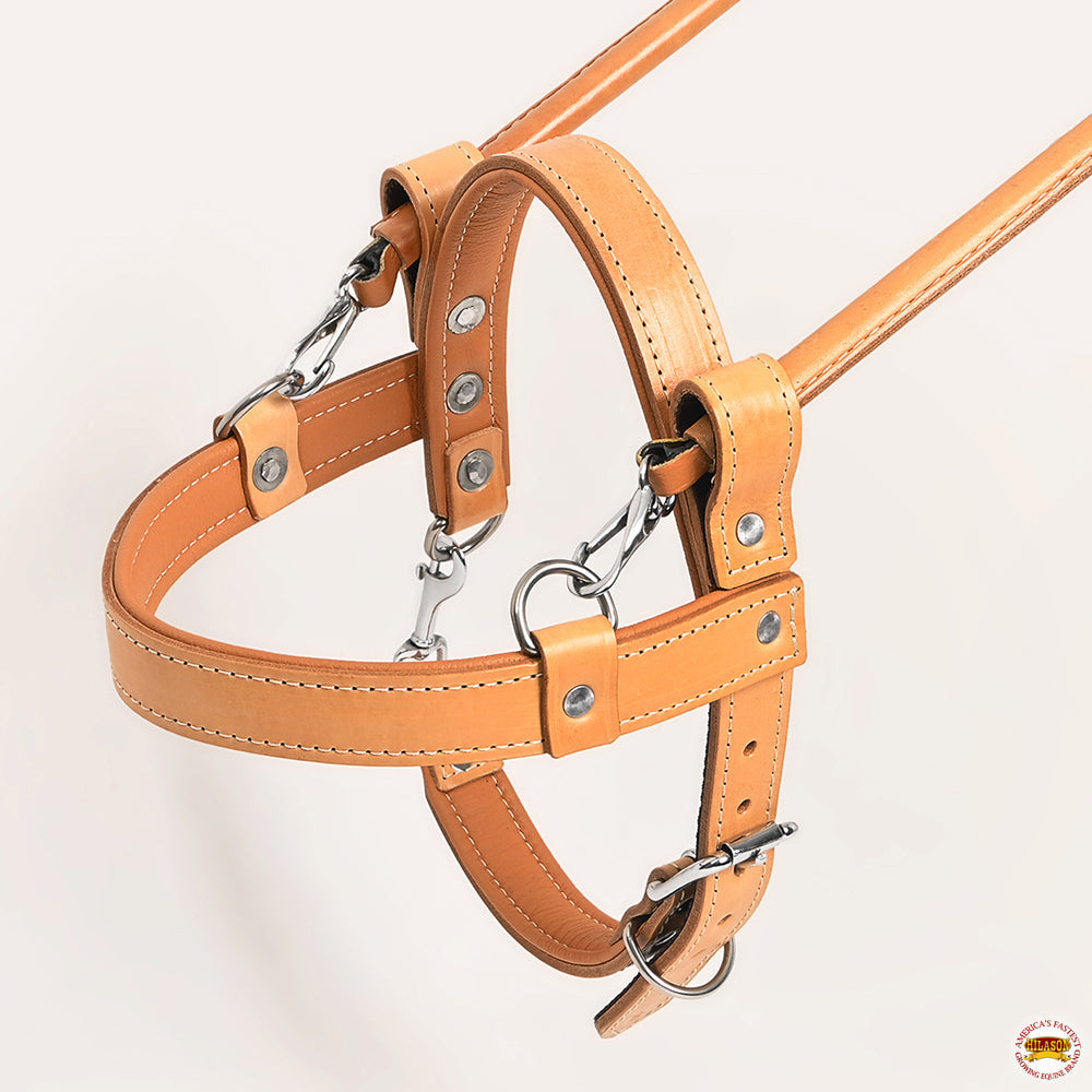 HILASON Guide Dog Harness Brown Padded Genuine Leather with Handle Tan | Dog Harness with Adjustable Straps | Dog Harness with Handle for Training | Breathable Dog Harness | Therapy Dog Harness