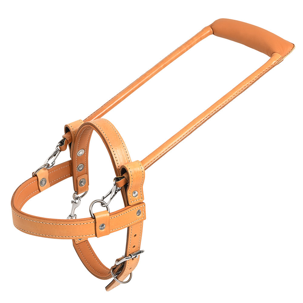 HILASON Guide Dog Harness Brown Padded Genuine Leather with Handle Tan | Dog Harness with Adjustable Straps | Dog Harness with Handle for Training | Breathable Dog Harness | Therapy Dog Harness