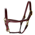 Hilason Western Horse Comfortable & Flexible Halter 3/4 In Width Genuine Leather