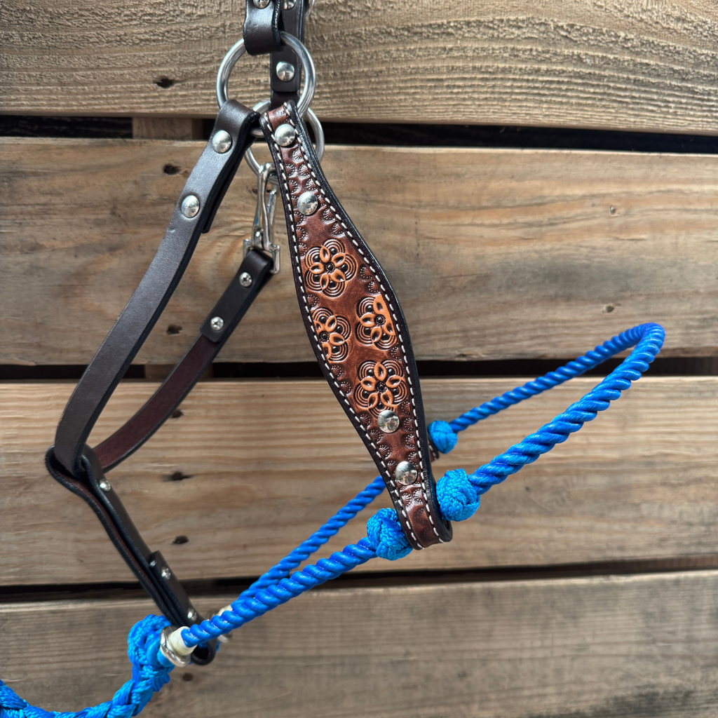 Blue Flower Power Tooled Lariat & Leather Combo Halter — view 2