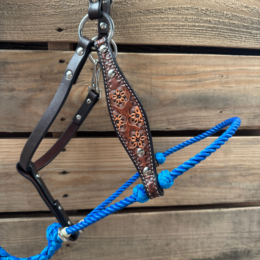 Blue Flower Power Tooled Lariat & Leather Combo Halter — view 2