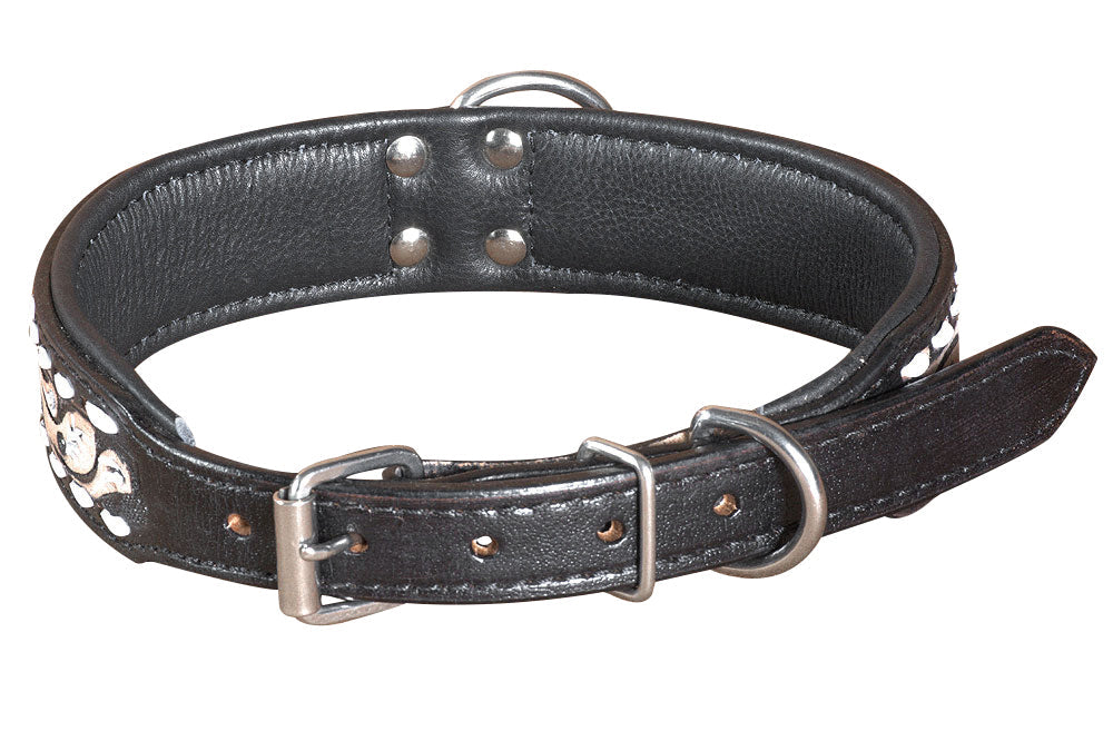 Hilason Heavy Duty Handpainted Genuine Leather Dog Collar Black with buckstich