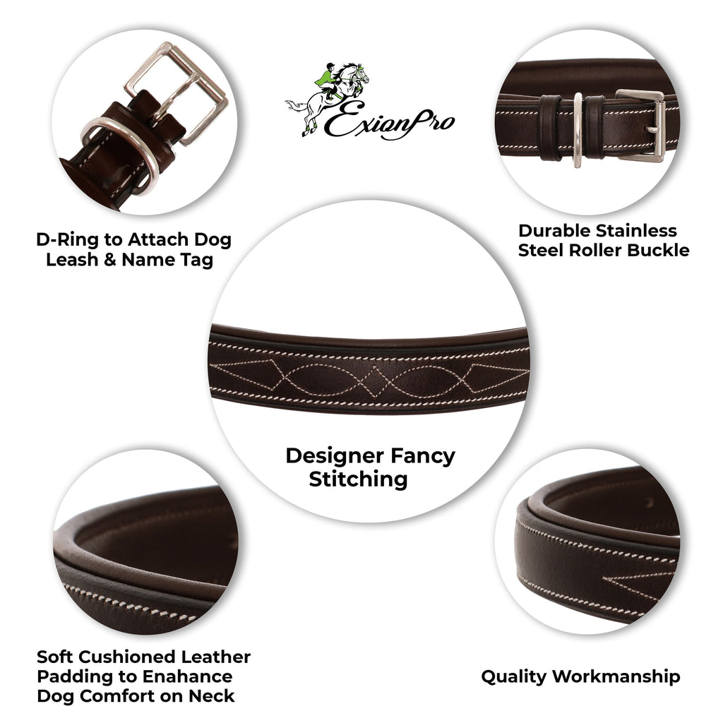 ExionPro Fancy Stitched Padded Leather Dog Collar - Blue Padding by Bridles & Reins - alternate view 5