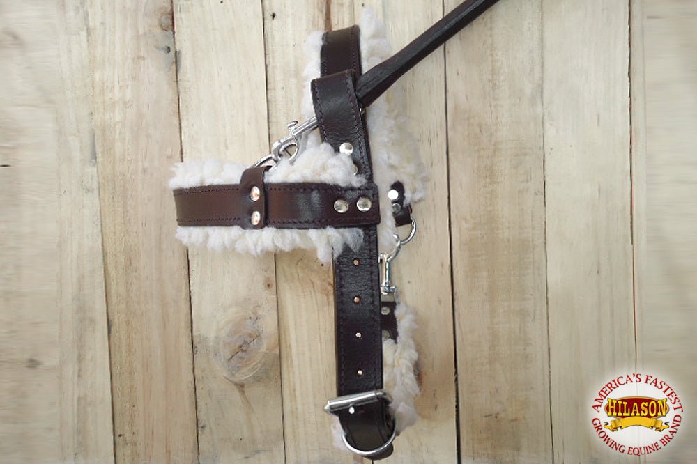 HILASON Guide Dog Harness Brown Padded Genuine Leather with Training Handle