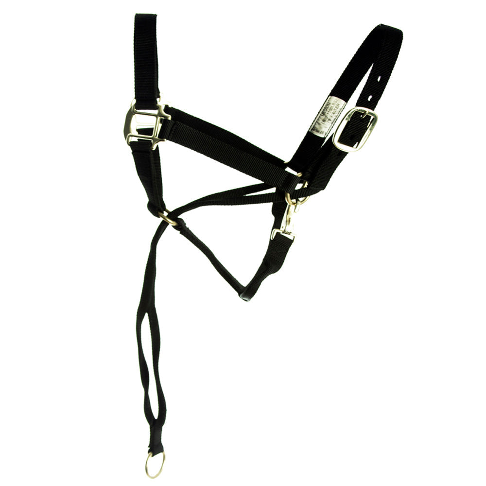HILASON Nylon Training Halter with Poll Pressure Strap 1" Heavy Duty Adjustable