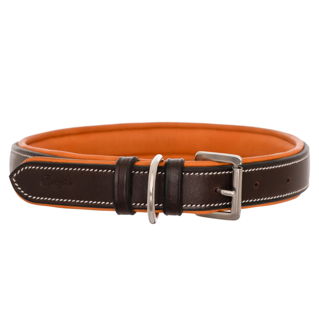 ExionPro Fancy Stitched Padded Leather Dog Collar - Conker Padding by Bridles & Reins - alternate view 3