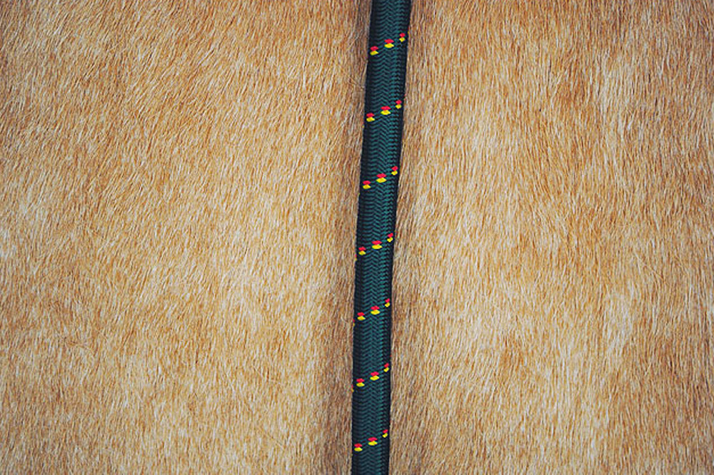 HILASON 30" Horse Bungee Trailer Tie with Nickel Plated Buffalo Snap Heavy Duty Elastic Horse Tie Lead Dark Green