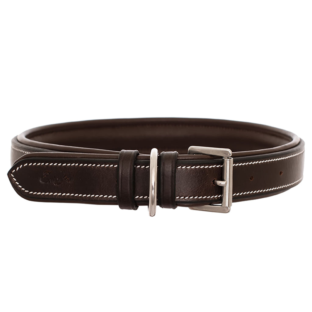 ExionPro Fancy Stitched Padded Leather Dog Collar - Havana Padding by Bridles & Reins - alternate view 2