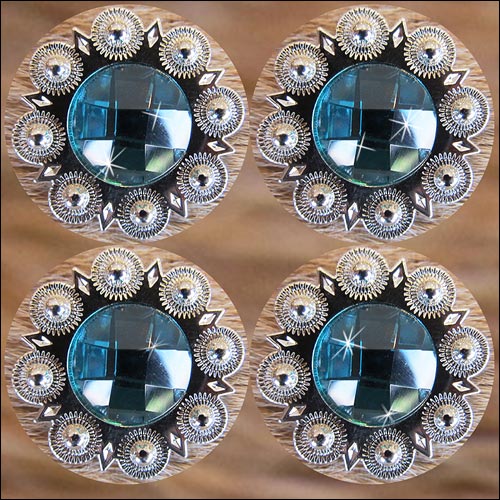 Western Screw Back Concho Turquoise Berry Bling Headstall Tack Cowgirl