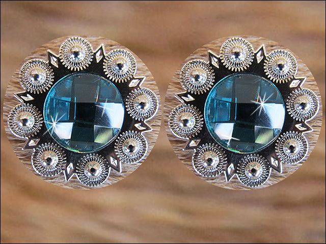 Western Screw Back Concho Turquoise Berry Bling Headstall Tack Cowgirl