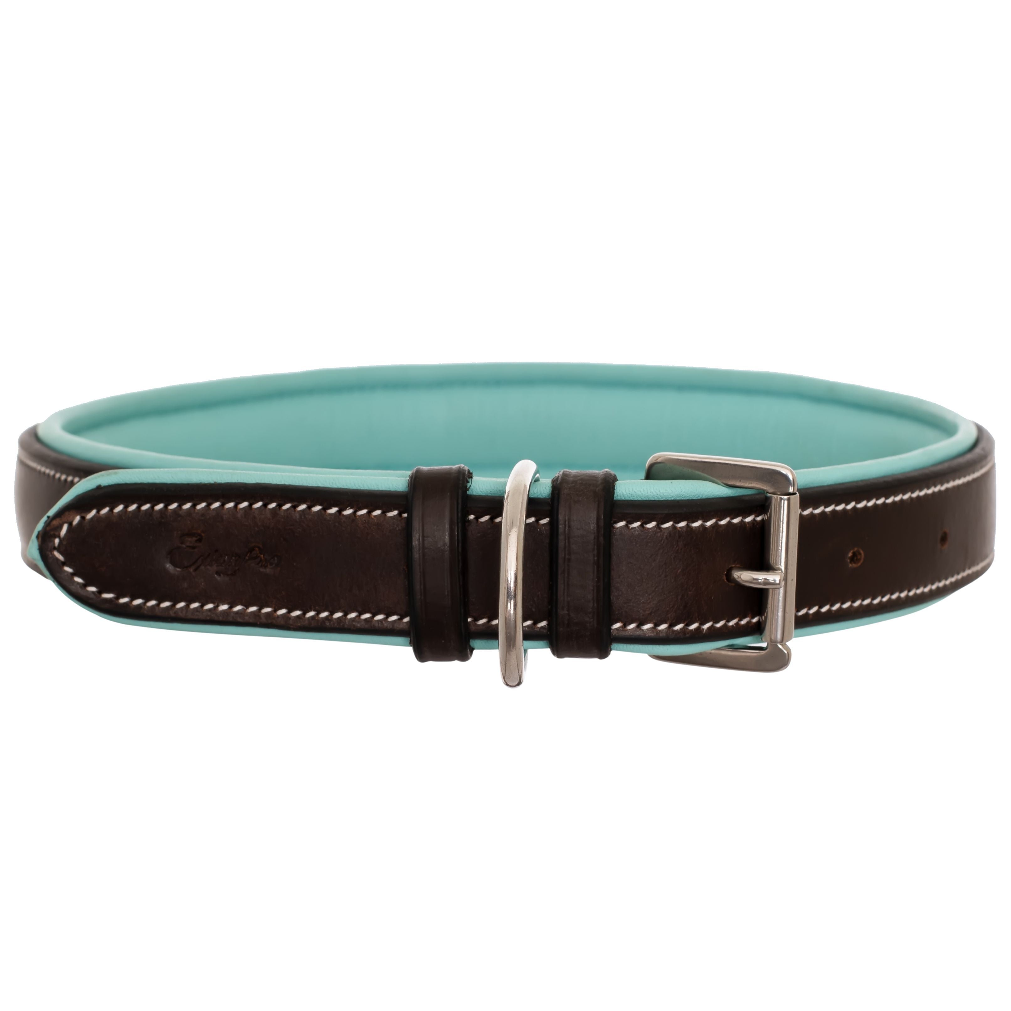 ExionPro Fancy Stitched Padded Leather Dog Collar - Sky Blue Padding by Bridles & Reins - alternate view 4