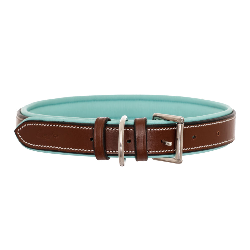 ExionPro Fancy Stitched Padded Leather Dog Collar - Sky Blue Padding by Bridles & Reins - alternate view 5