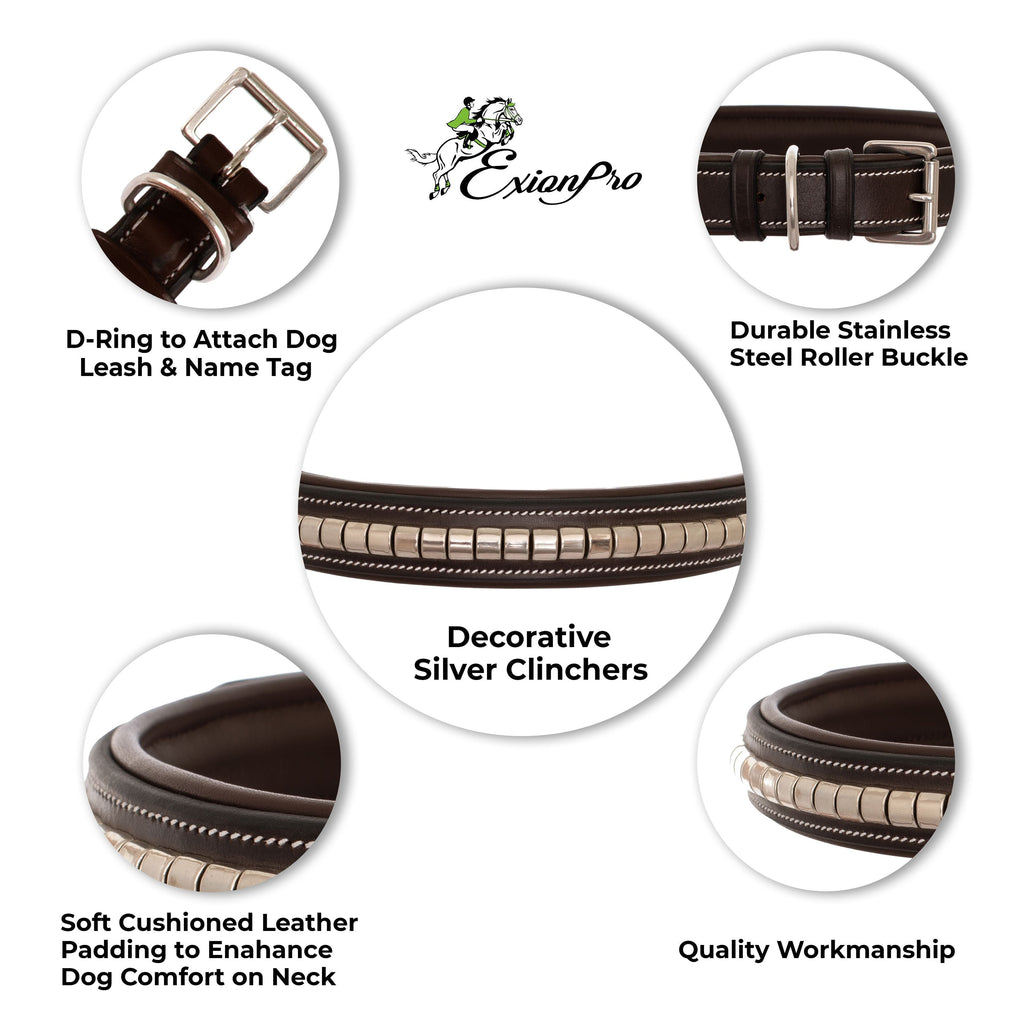 ExionPro Silver Clincher Padded Leather Dog Collar - Brown Padding by Bridles & Reins - alternate view 8