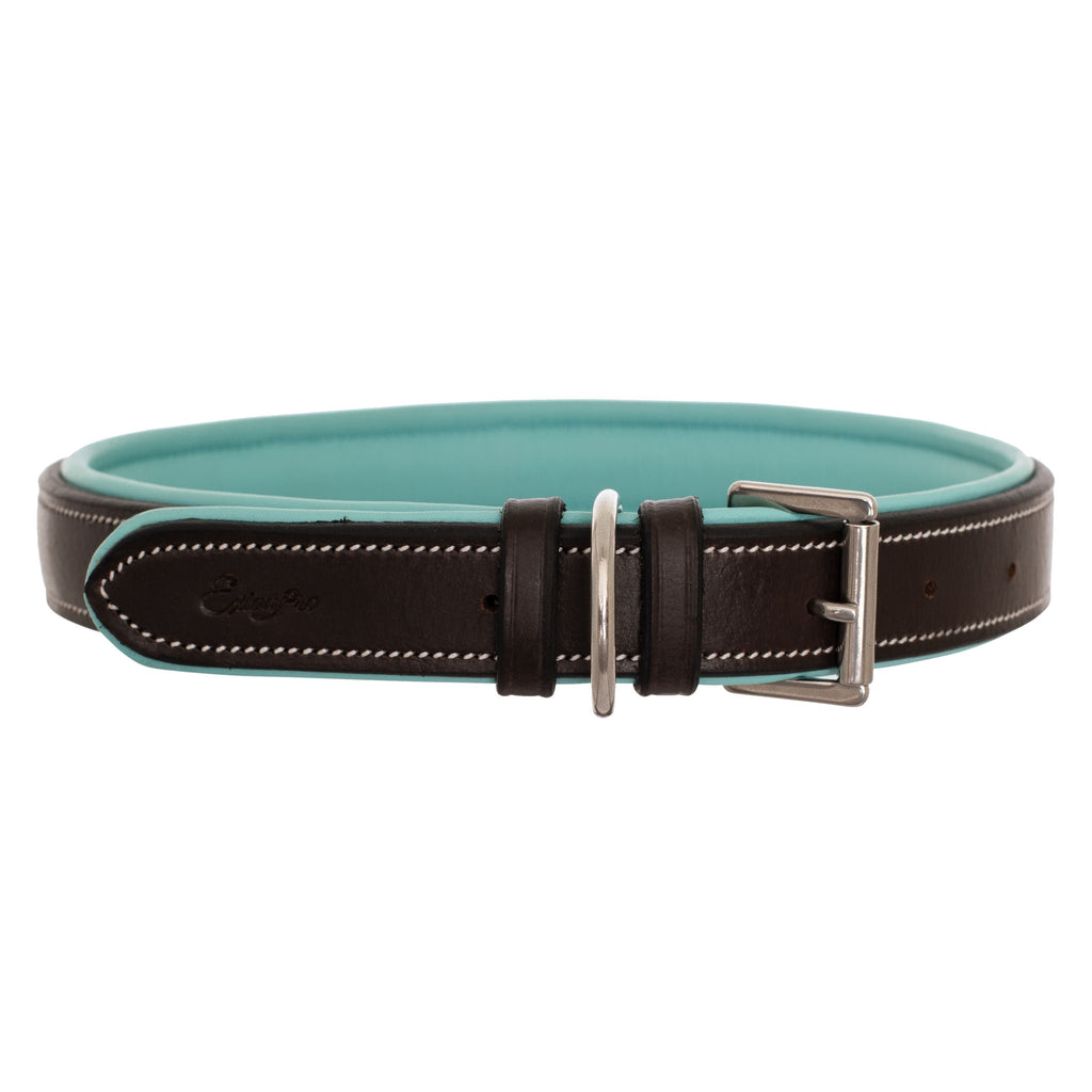 ExionPro Silver Snaffle Padded Leather Dog Collar - Sky Blue Padding by Bridles & Reins - alternate view 2