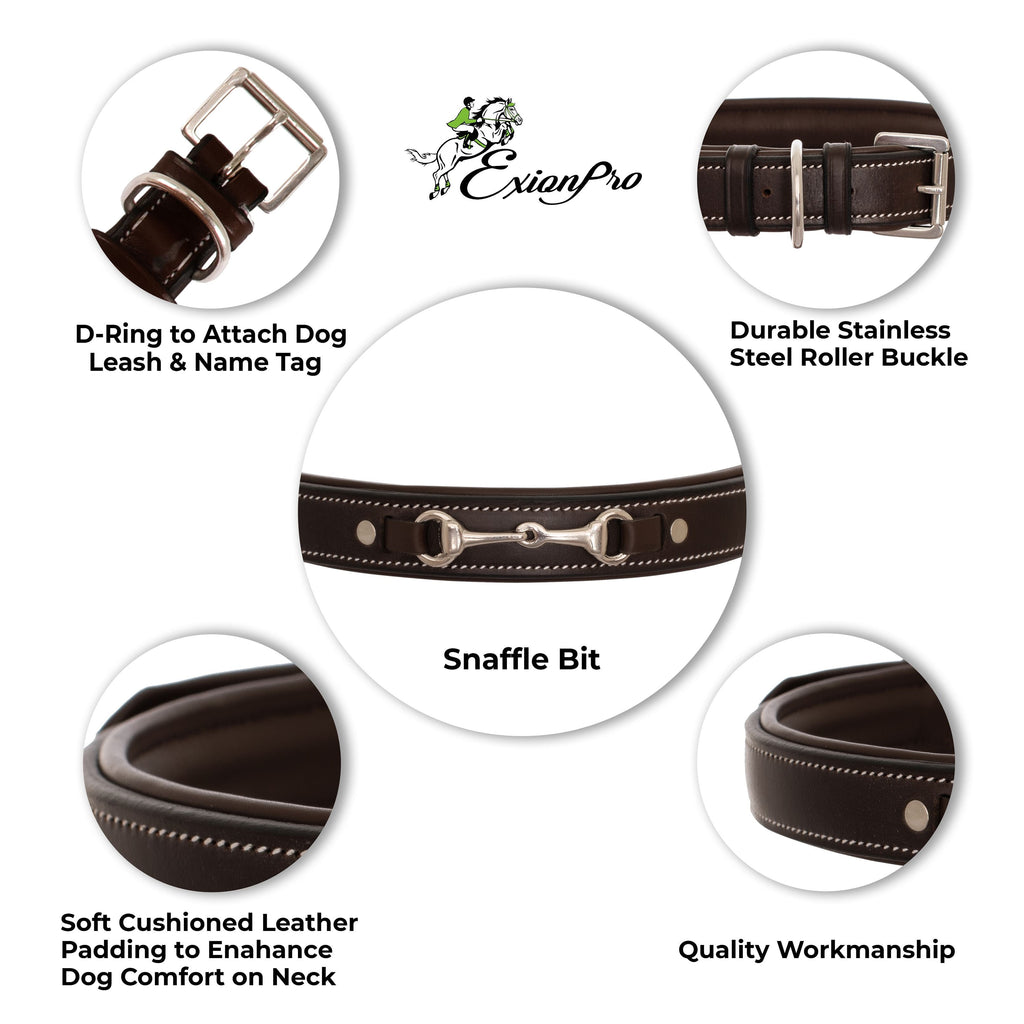 ExionPro Silver Snaffle Padded Leather Dog Collar - Sky Blue Padding by Bridles & Reins - alternate view 7
