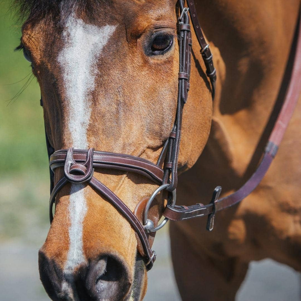 Replacement Noseband of ExionPro Fully Padded Snaffle Bridle with U Shaped Detachable Flash by Bridles & Reins -...