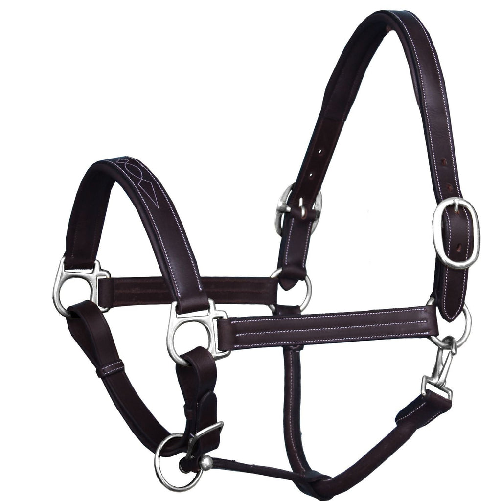 ExionPro Triple Stitched Halter - Brass Nickel Hardware by Bridles & Reins