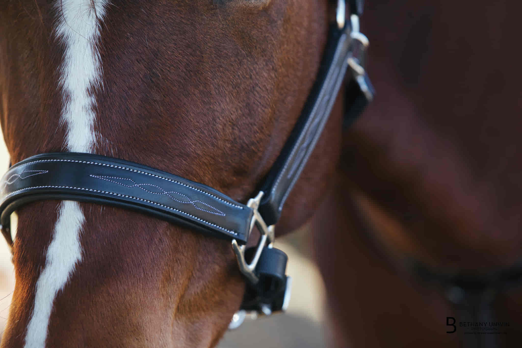 ExionPro Fancy Stitched Halter - Brass Nickel Hardware by Bridles & Reins - alternate view 5