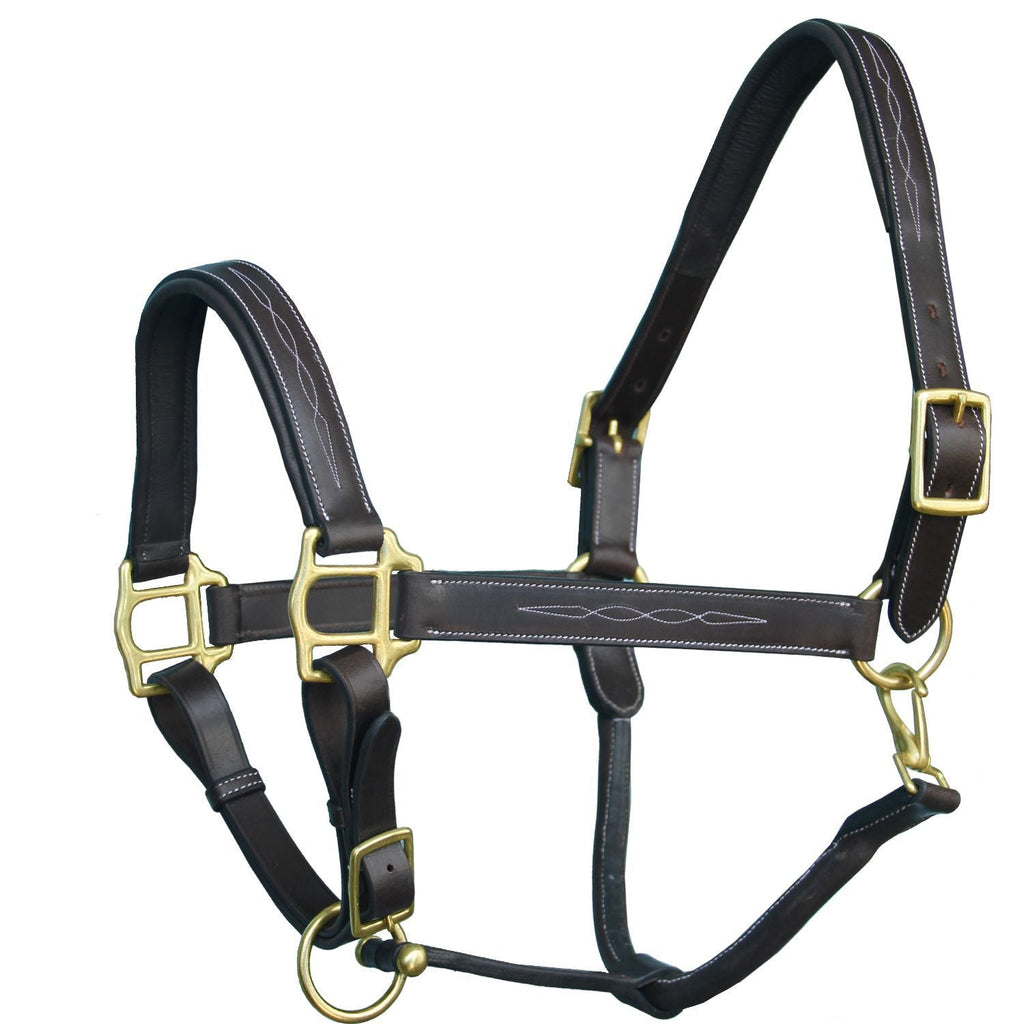 ExionPro Fancy Stitched Halter - Brass Hardware by Bridles & Reins