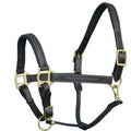 ExionPro Fancy Stitched Halter - Brass Hardware by Bridles & Reins