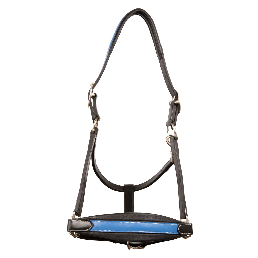 ExionPro Duo-Tone Halter - Blue by Bridles & Reins - alternate view 2