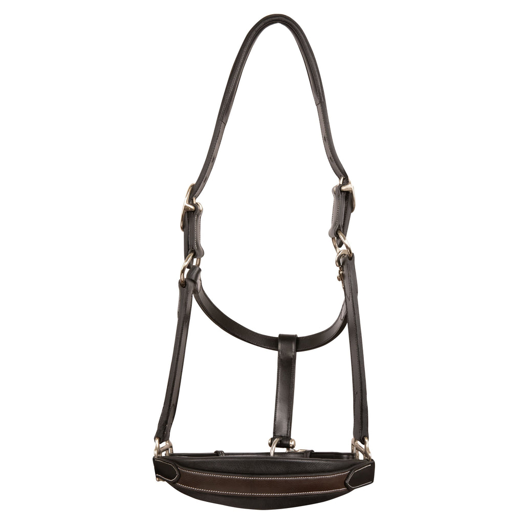 ExionPro Duo-Tone Halter - Havana by Bridles & Reins - alternate view 2