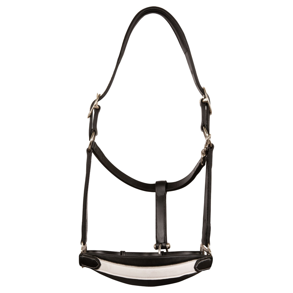 ExionPro Duo-Tone Halter - White by Bridles & Reins - alternate view 2