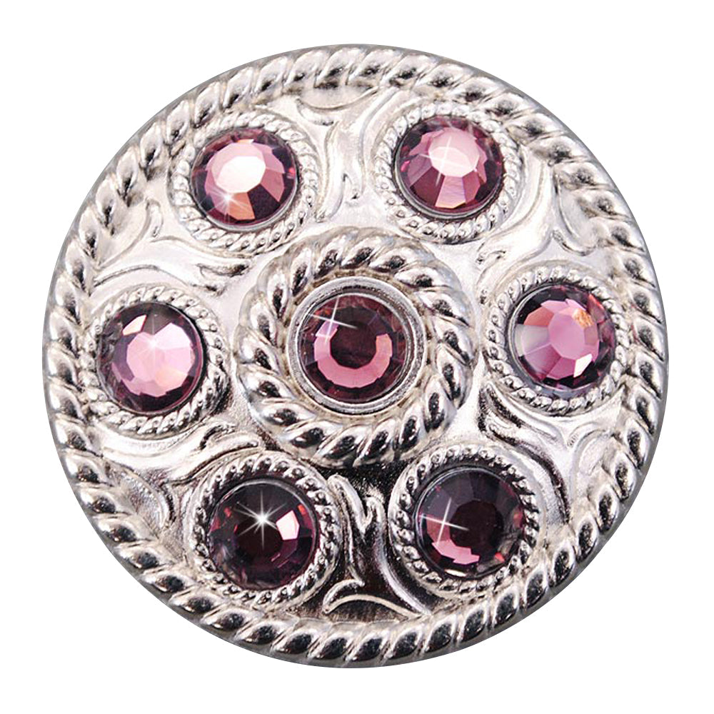Western Screw Back Concho1 Purple Crystal Wheel Bling Headstall Cowgirl