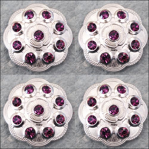 Western Screw Back Conchopurple Crystal Floral Bling Headstall Cowgirl