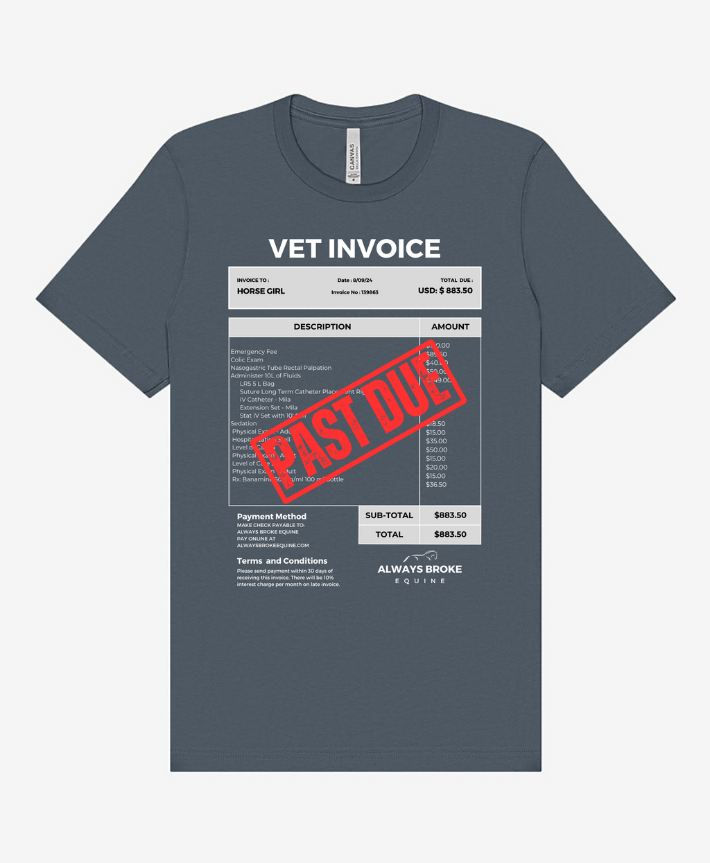 Past Due Vet Invoice Tee — view 2