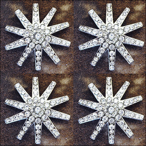 Western Screw Back Concho Clear Spur Bling Headstall Tack Cowgirl