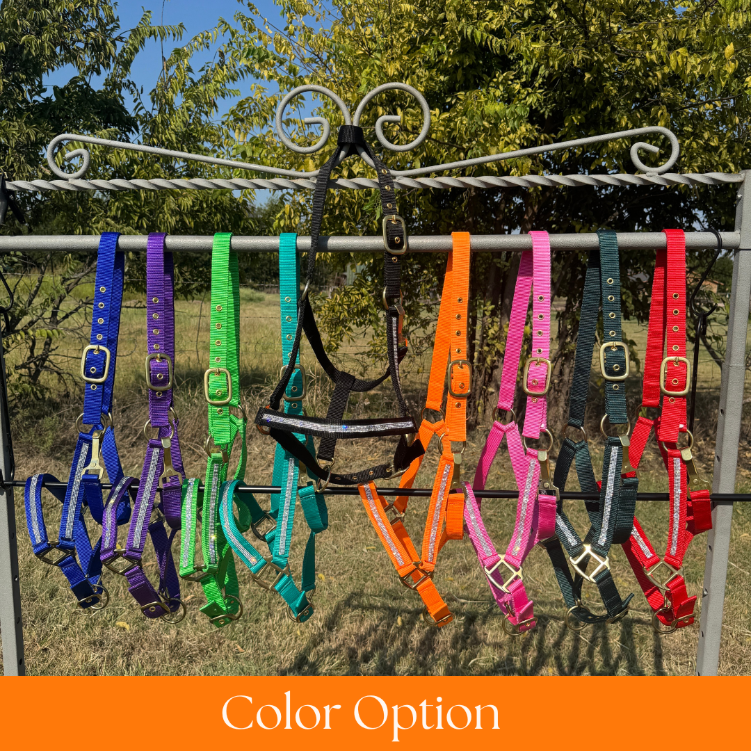 Bling Nylon Horse Halter - Assorted Colors
