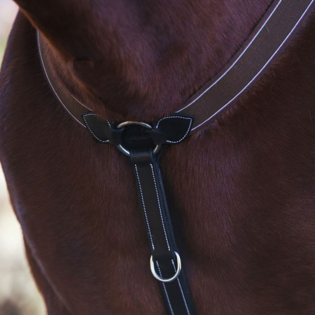 ExionPro Heart Shape 3 Point Breastplate - Matching Elastic by Bridles & Reins - alternate view 6