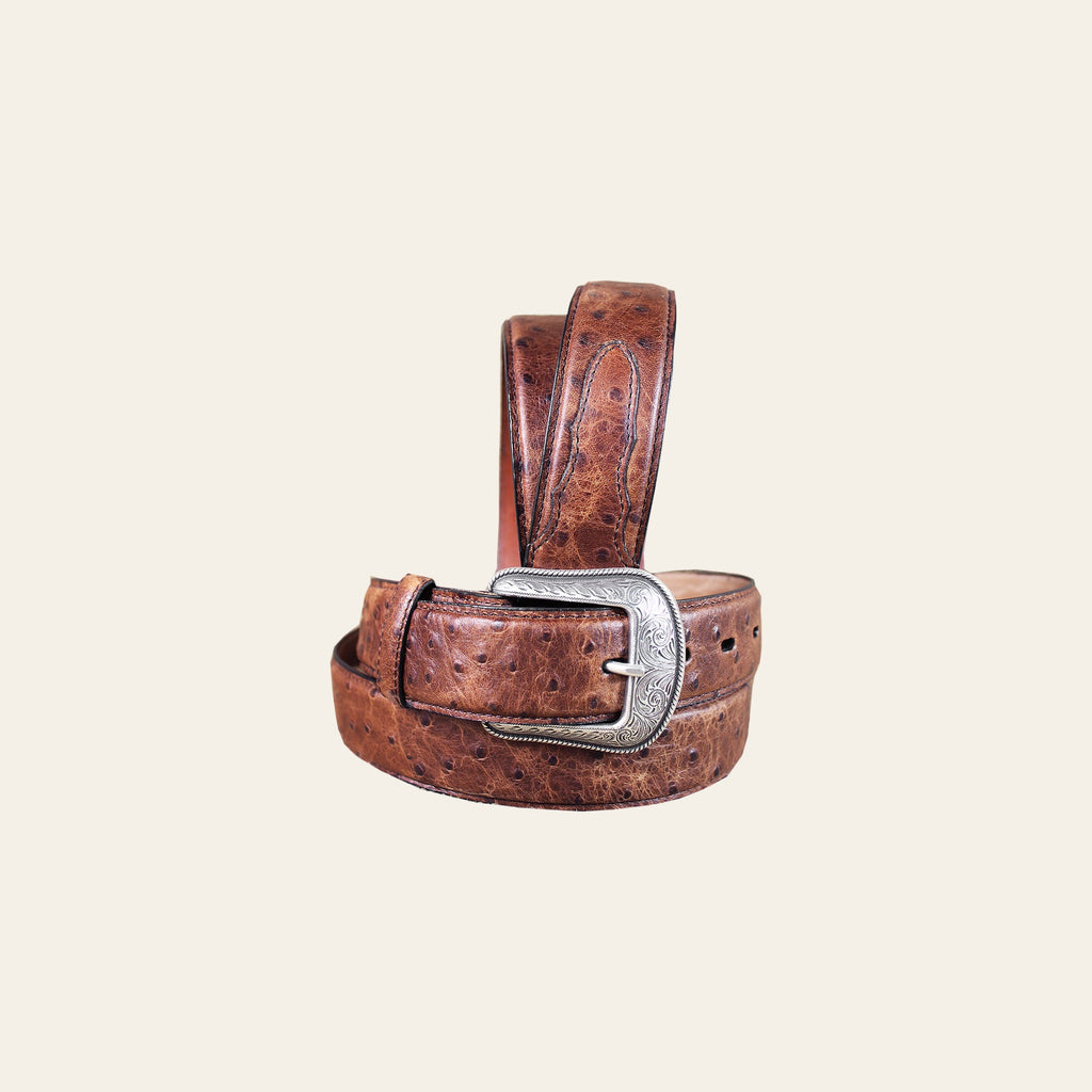 3D Men's Vintage Brown Ostrich Print Leather Belt Feathered Edge & Silver Buckle