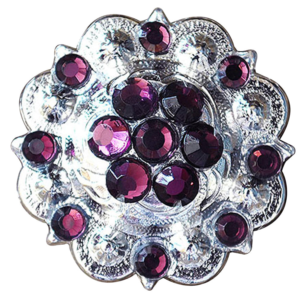 Hilason Amethyst Crystal Berry Concho - Headstall