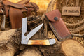 Razor Trapper Knife with Burned Bone Handle and Steel Bolsters