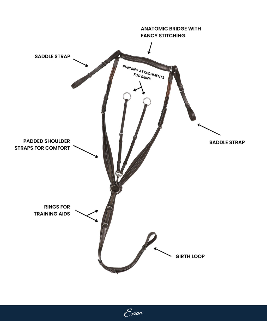 ExionPro Wings Breastplate by Bridles & Reins - alternate view 4