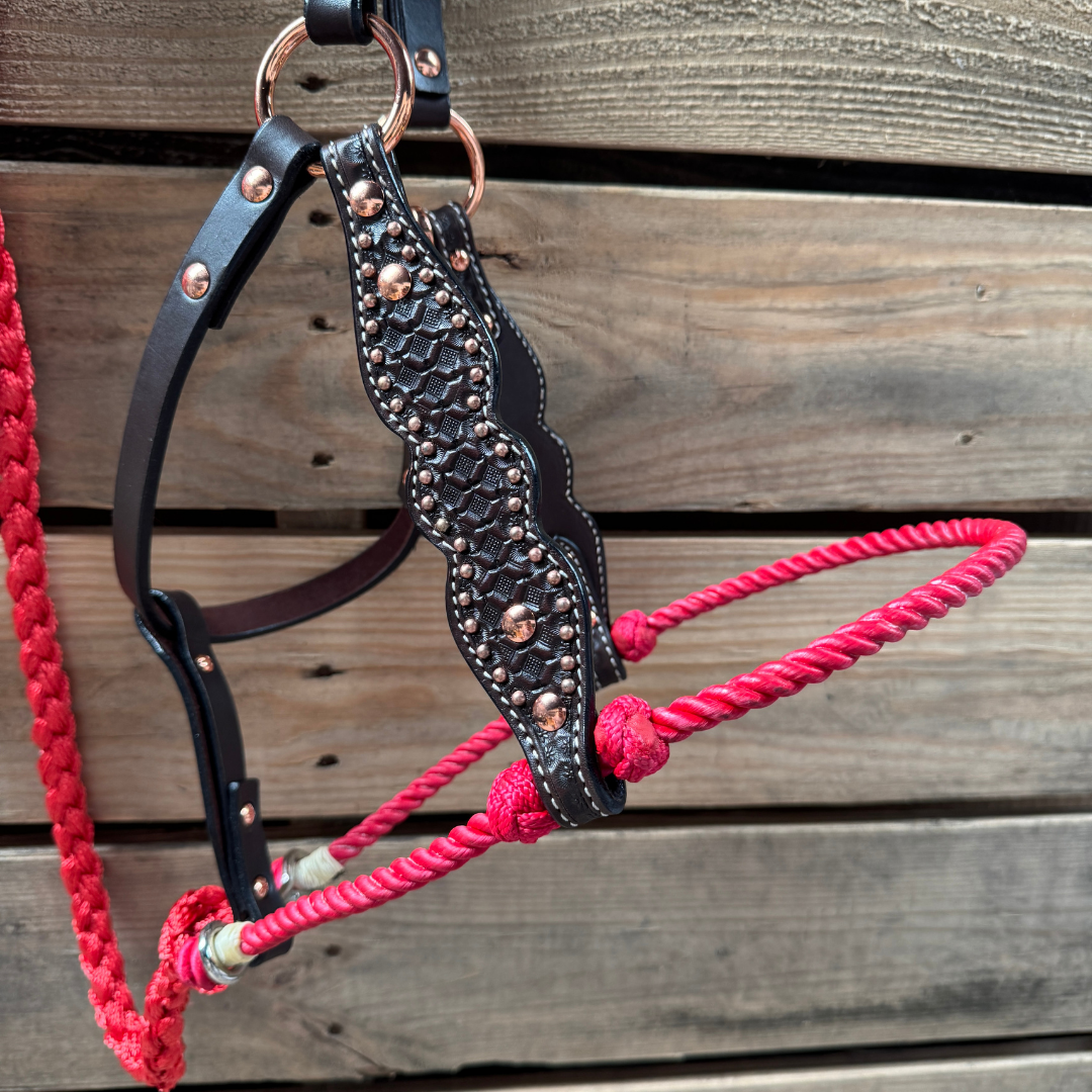 Red Honeycomb Tooled Lariat & Leather Combo Halter — view 2