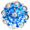 Capri Blue Ab Crystals Berry Headstall Saddle Tack Bling Hilason