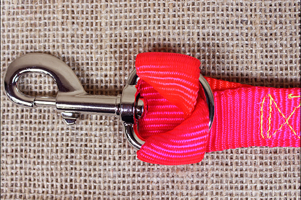 Hilason Rainbow 2 Ply Nylon Tie Down Nickel Plt. Hardware W. H. Tk. –
