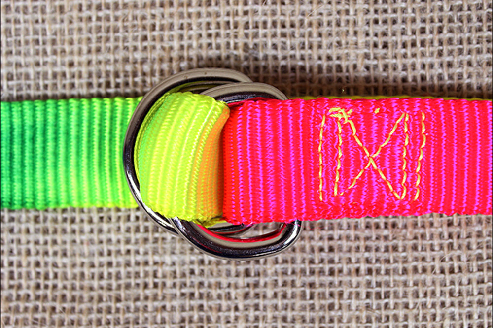 Hilason Rainbow 2 Ply Nylon Tie Down Nickel Plt. Hardware W. H. Tk. –