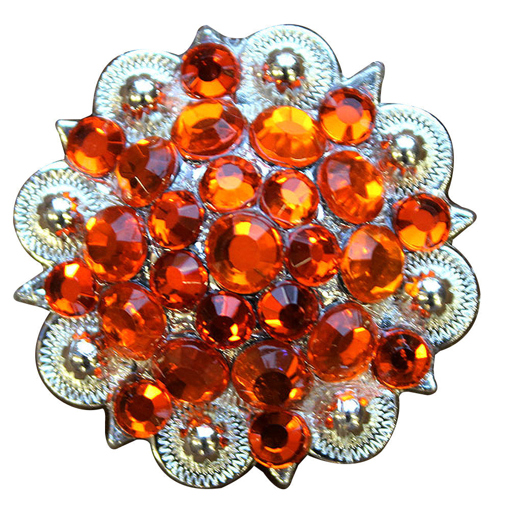 Orange Crystals Berry Headstall Saddle Cowgirl Hilason