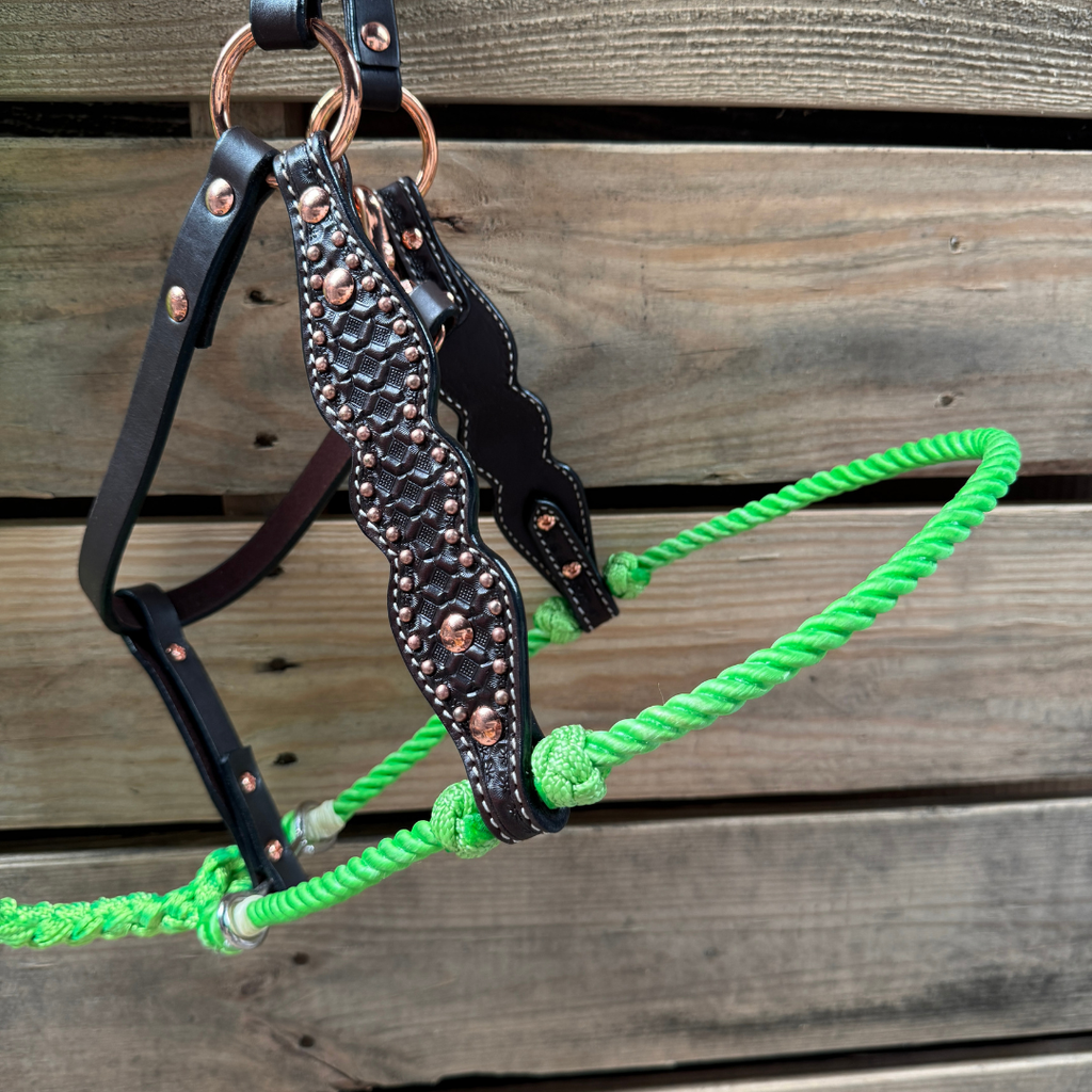 Lime Honeycomb Tooled Lariat & Leather Combo Halter — view 2